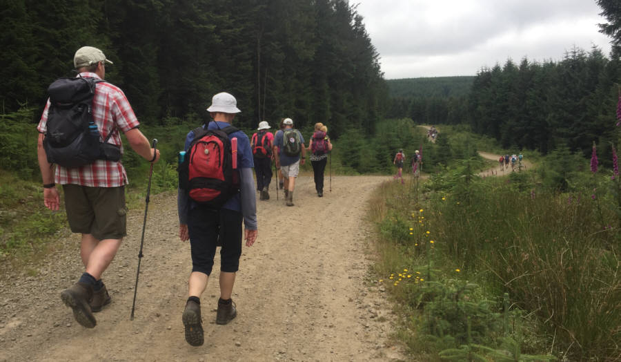 Area Walk